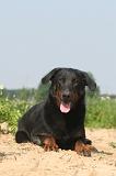 BEAUCERON 047